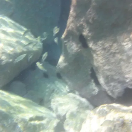 Valemare Hotell Tropea