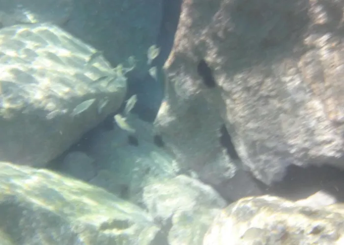 Valemare Hotel Tropea